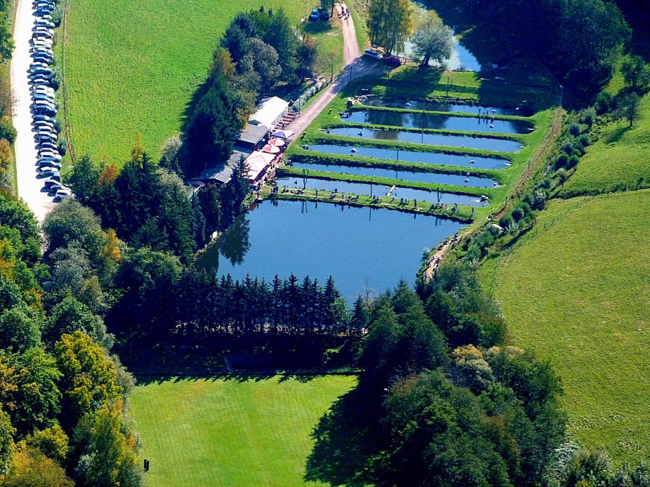 Fisch Röll - Rewe Kornelius Golbik